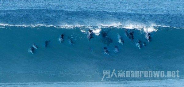 细胞分裂6